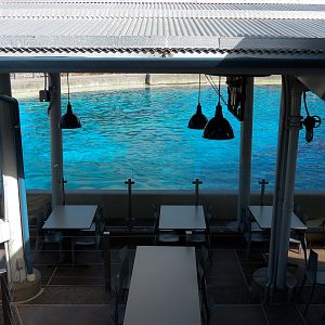 Shamu Stadium - One Ocean Show - Dine With Shamu