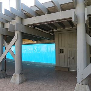 Shamu Stadium - One Ocean Show - Shamus Underwater Viewing