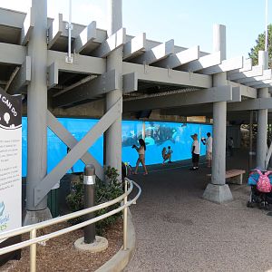 Shamu Stadium - One Ocean Show - Shamus Underwater Viewing