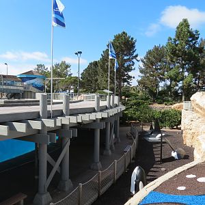 Shamu Stadium - One Ocean Show - Shamus Underwater Viewing