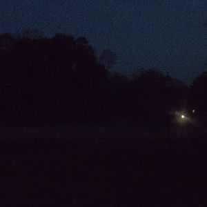 Unusual fog on the putting green across the path from the zoo, 31st October
