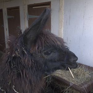 Fudge, 2nd November 2014