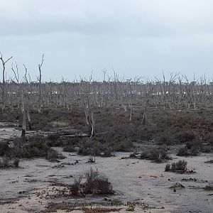 Dead Lake Western Australia