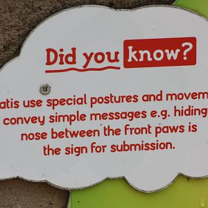 Signage, 30th September 2014