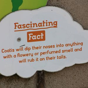 Signage, 30th September 2014