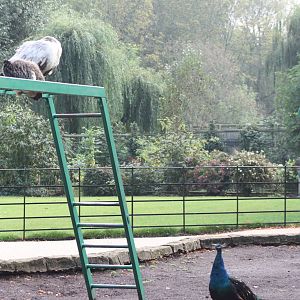 Thinking about it, 30th September 2014