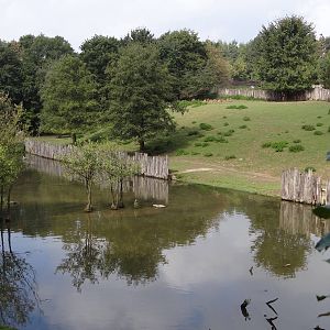 Great african enclosure