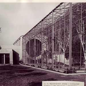 Blast from the past: South American Aviary