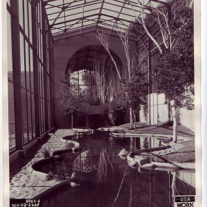 Blast from the past: South American Aviary