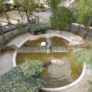 Pygmy hippo pools from Teleferico