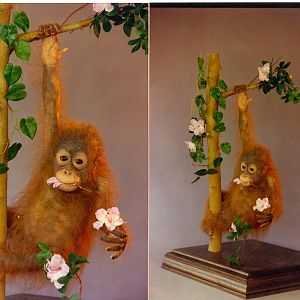 Baby Orangutan Sculpture