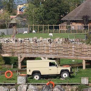 Addax ahoy, 30th September 2014