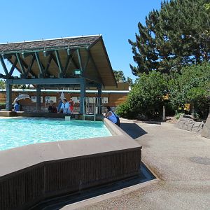 Dolphin Point - Bottlenose Dolphin Exhibit 1