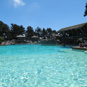 Dolphin Point - Bottlenose Dolphin Exhibit 1