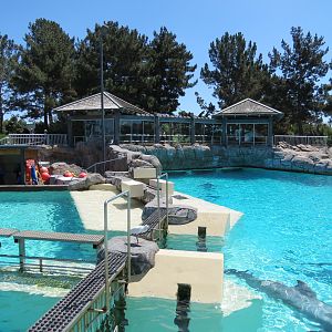 Dolphin Point - Bottlenose Exhibit 2