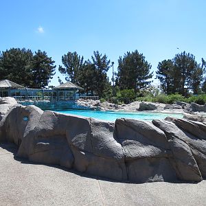 Dolphin Point - Bottlenose Exhibit 2