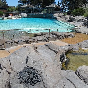 Dolphin Point - Bottlenose Exhibit 2