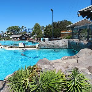 Dolphin Point - Bottlenose Exhibit 2