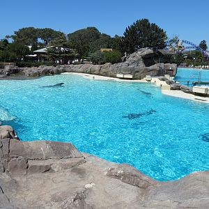 Dolphin Point - Bottlenose Exhibit 2