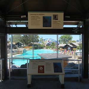 Dolphin Point - Bottlenose Exhibit 2