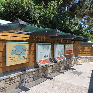 Dolphin Point - Sea Otter Graphics