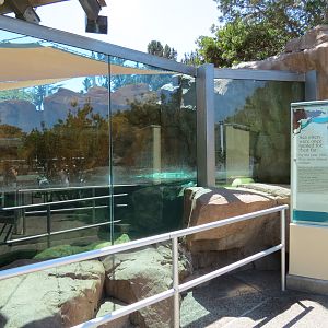 Dolphin Point - Sea Otter Exhibit