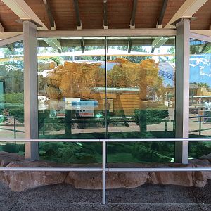 Dolphin Point - Sea Otter Exhibit