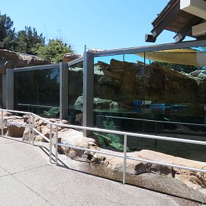 Dolphin Point - Sea Otter Exhibit