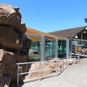 Dolphin Point - Sea Otter Exhibit