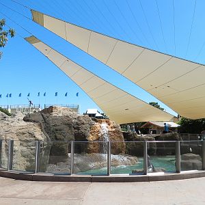 Pacific Point - Pinniped Exhibit 1