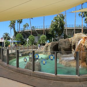Pacific Point - Pinniped Exhibit 1