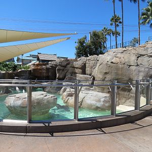 Pacific Point - Pinniped Exhibit 2