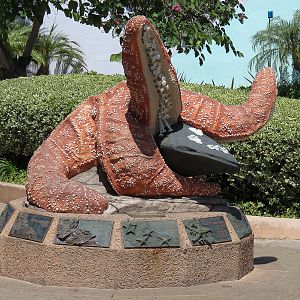 Tidepool - Sea Star Sculpture