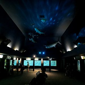 Aquaria: World of Fishes - Interior