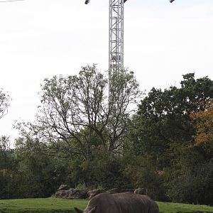 Two faces of Flamingo Land, 30th September 2014
