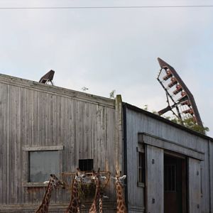 Two faces of Flamingo Land, 30th September 2014