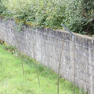 Good old Flamingo Park breeze blocks still in use, 30th September 2014
