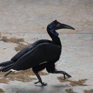 Twiggy, 30th September 2014