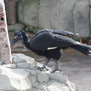 Twiggy, 30th September 2014