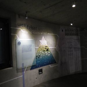 Educational signage, Franz Josef Land, October 2014.