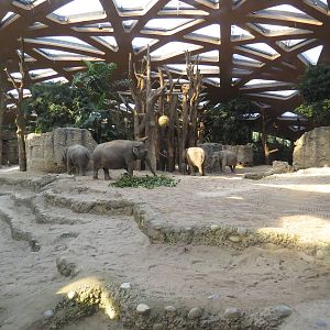 Kaeng Krachan elephant park, October 2014.