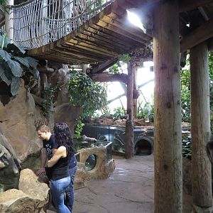 One of the rainforest walkthrough areas, October 2014.
