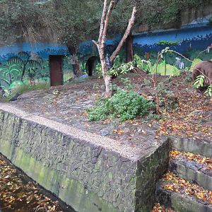 Brown bear enclosure, October 2014.