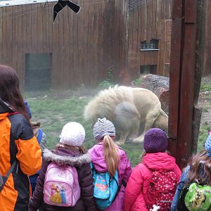 What are we watching? October 2014.