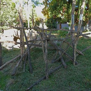 Giant Panda Exhibit Furniture Nov. 2014