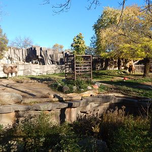 Oct. 2014 - Africa-Asia-South America - Camel + Tiger Exhibit