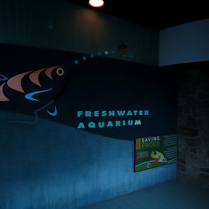 Freshwater Aquarium - Entrance Interior