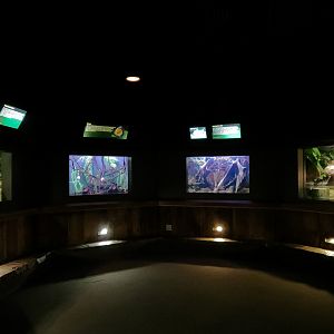 Freshwater Aquarium - Alcove 1