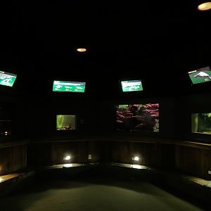 Freshwater Aquarium - Alcove 2