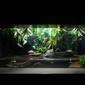 Freshwater Aquarium - Texas Map Turtle Exhibit